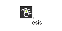 LSG customer ACE esis