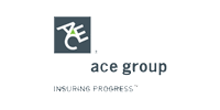 LSG customer ACE group