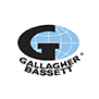 LSG testimonial Gallagher bassett services